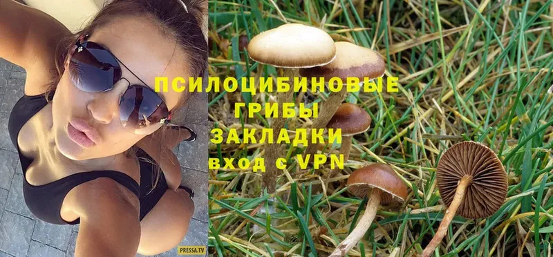 Галлюциногенные грибы Magic Shrooms  Данков 